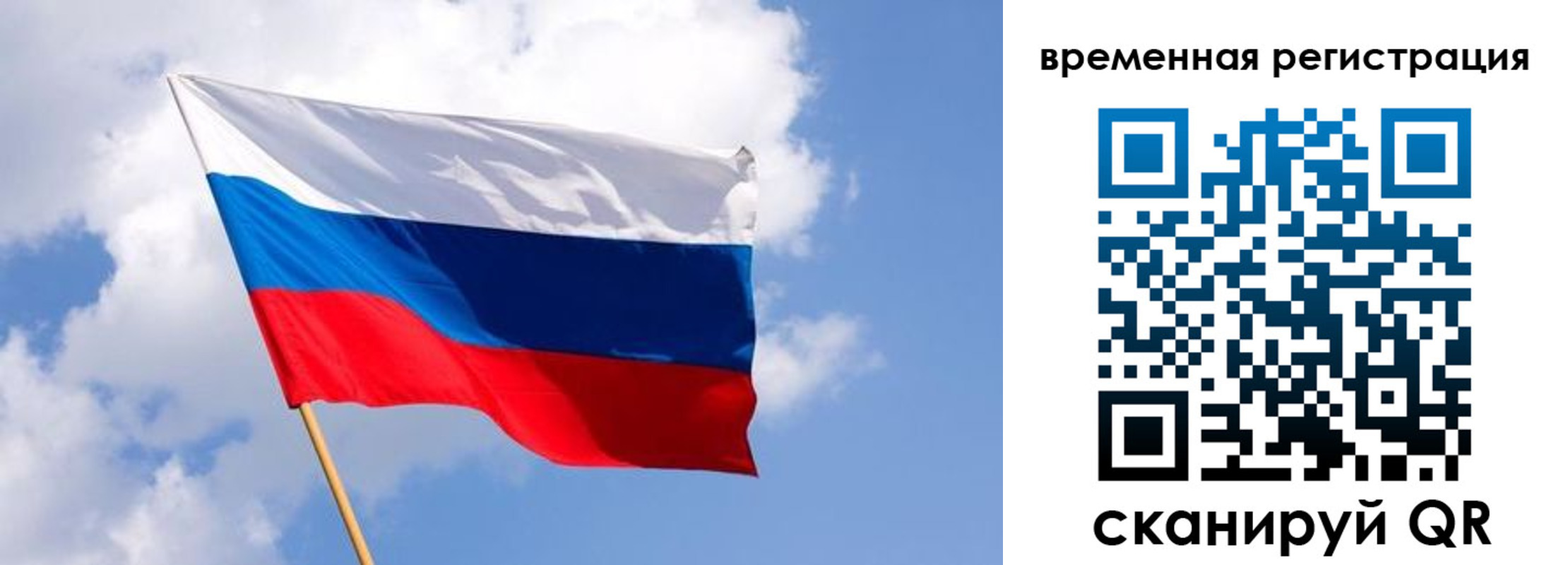 прописка для школы в Домодедово